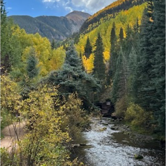 Meet your Posher, Cheryl - Picture 1 of 1